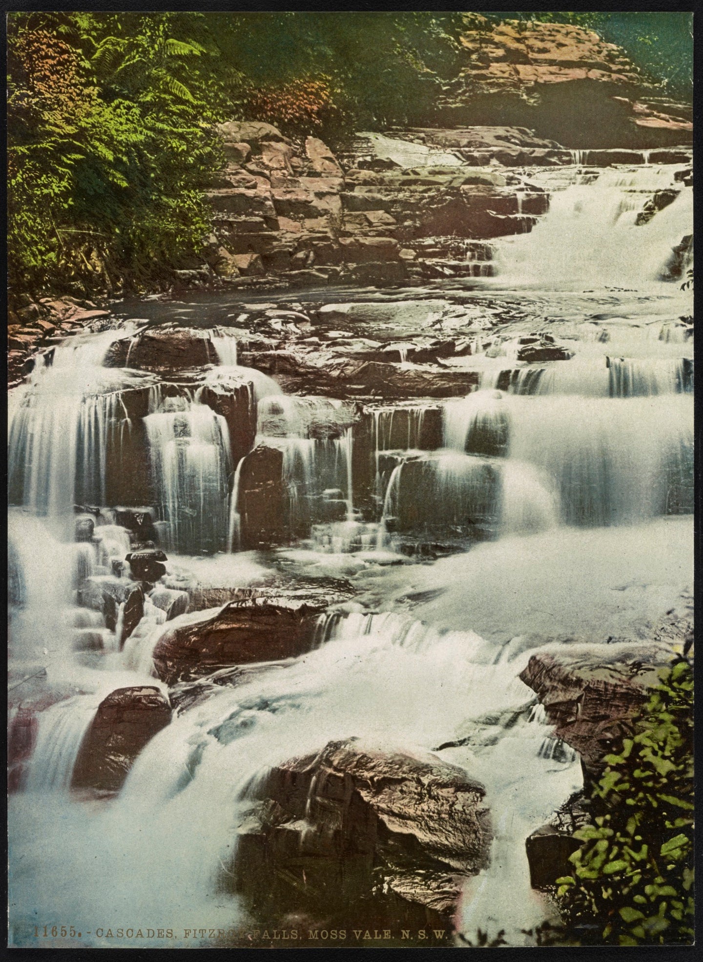 Cascades, Fitzroy Falls, Moss Vale, NSW, circa 1890