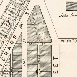 Annandale - Auction Sale on the Ground, 1902