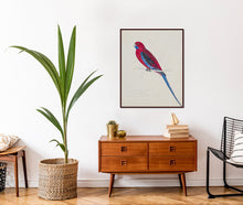 Load image into Gallery viewer, Crimson Rosella