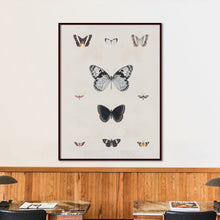 Load image into Gallery viewer, Butterflies