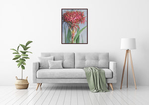 Gymea Lily (Doryanthes excelsa)