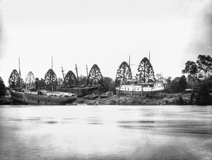 Boats Marooned by flooding on the Brisbane River, ca. 1893