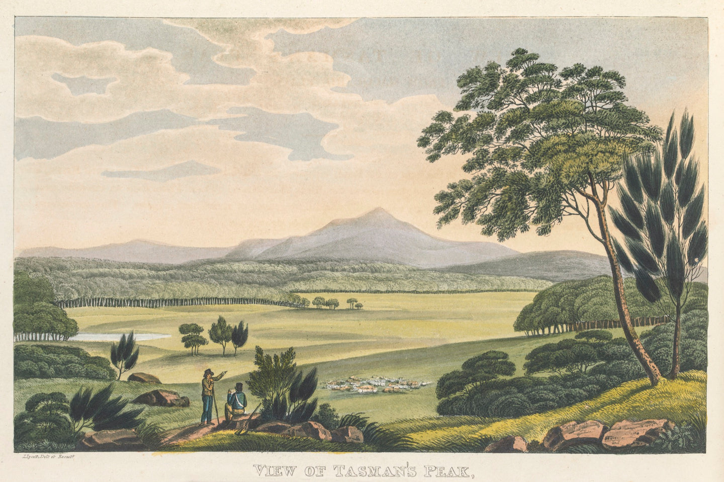 View of Tasman's Peak, from Macquaries Plains, Van Diemen's Land