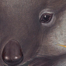 Load image into Gallery viewer, Wombat