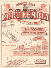 Load image into Gallery viewer, Auction Sale on the Ground at Port Kembla, 1916