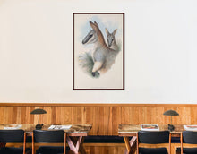 Load image into Gallery viewer, Grey&#39;s Wallaby