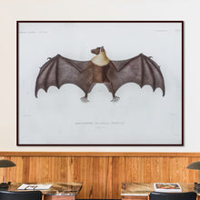 Load image into Gallery viewer, Bat (Tonga)