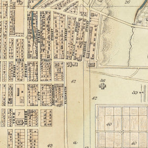 Plan of the Town and Suburbs of Sydney