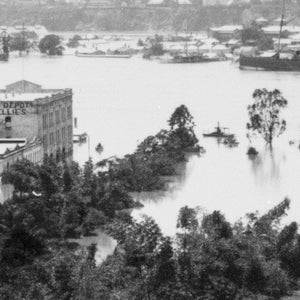 Brisbane flood of 1893: Botanical Gardens, Alice Street