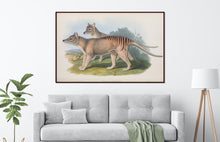 Load image into Gallery viewer, Tasmanian Tiger - Thylacine