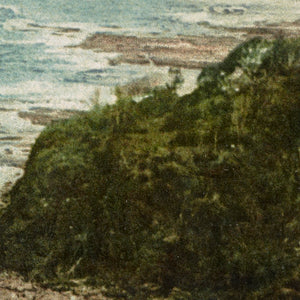 Coastal Scene of Cliffton, Illawarra District