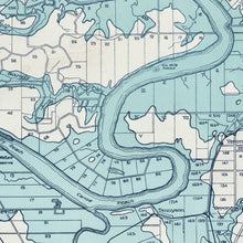 Load image into Gallery viewer, Greater Brisbane Area Inundated in the Flood of 1893