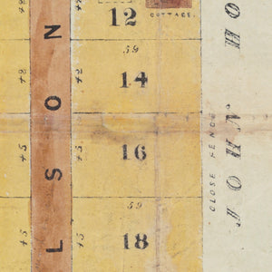 Plan of 30 Allotments Balmain, Darling Harbour