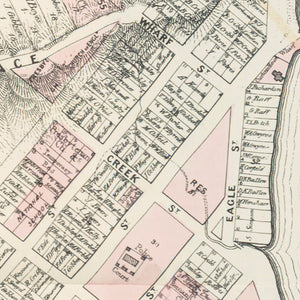 Plan of the City & Environs of Brisbane