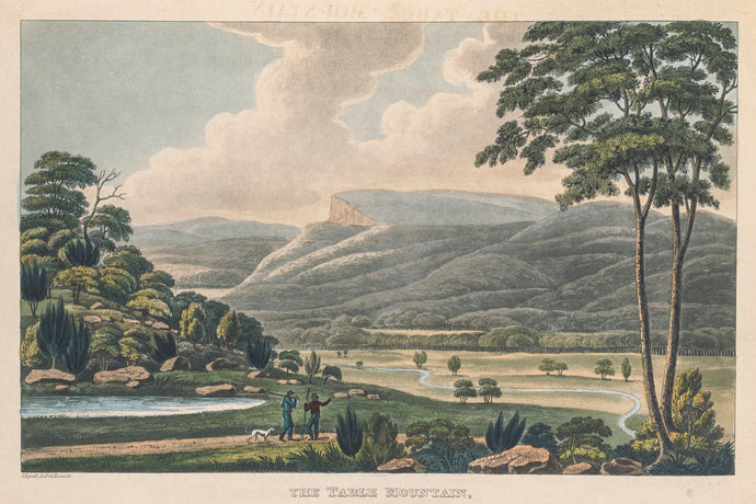 The Table Mountain, Van Diemen's Land