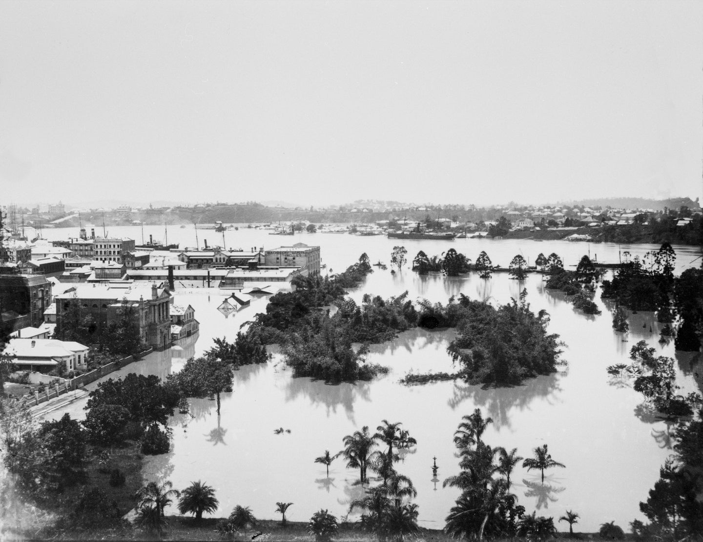 Brisbane flood of 1893: Botanical Gardens, Alice Street