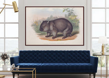 Load image into Gallery viewer, Wombat