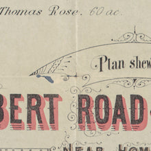 Load image into Gallery viewer, Plan shewing Albert Road &amp; Allotments near Homebush... Parish of Concord