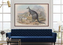 Load image into Gallery viewer, Wallaroo