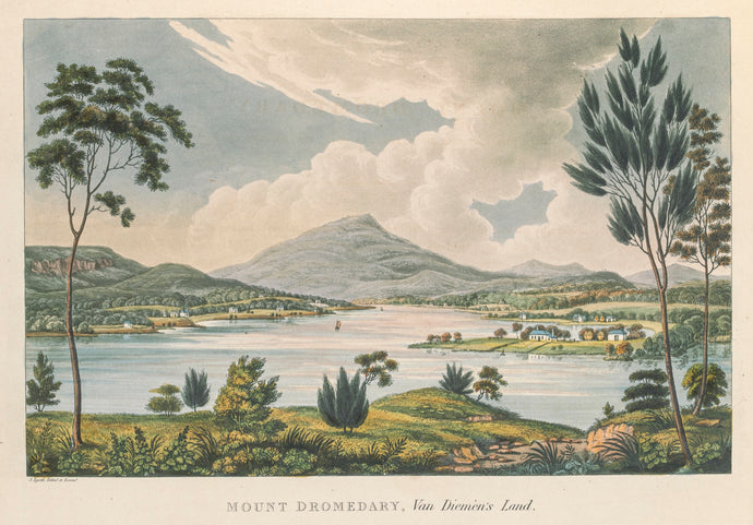 Mount Dromedary, Van Diemen's Land