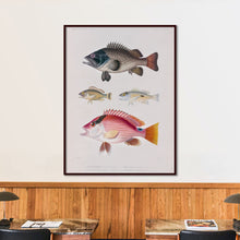 Load image into Gallery viewer, Fish