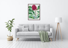 Load image into Gallery viewer, Waratah (Telopea speciosissima)