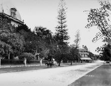 Load image into Gallery viewer, Horse and Cart on George Street Outside Queensland Parliament, ca. 1890