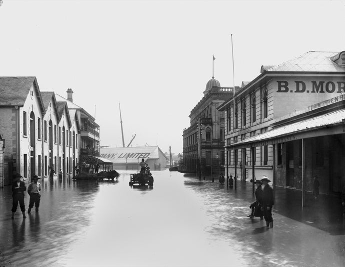 Brisbane flood of 1893: Mary St